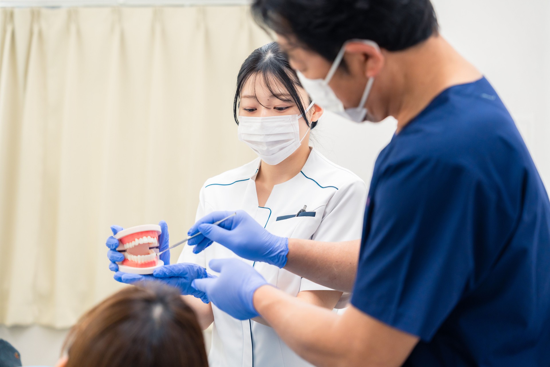 Dentist using a model of a tooth to explain dental treatment.